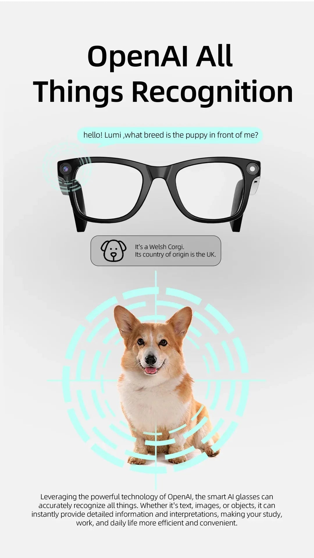 Smart AI Glasses Pro HD Anti-Shake Camera Noise-Canceling Calls & Wireless Bluetooth Eyewear