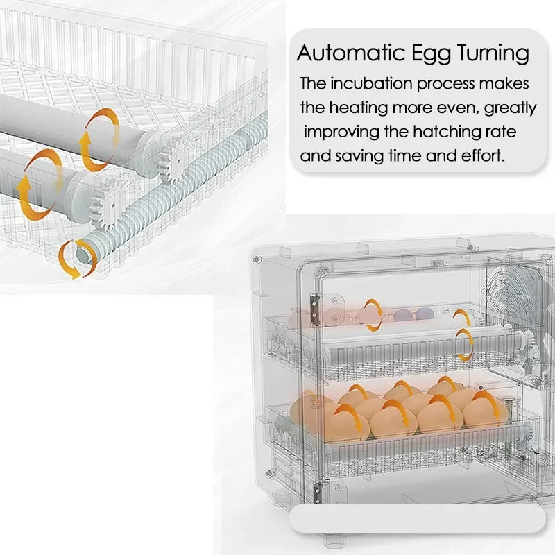Incubateur tactile automatique pour œufs, contrôle intelligent de la température et de l'humidité pour les œufs de poule, de canard, de caille, de machine d'écloserie