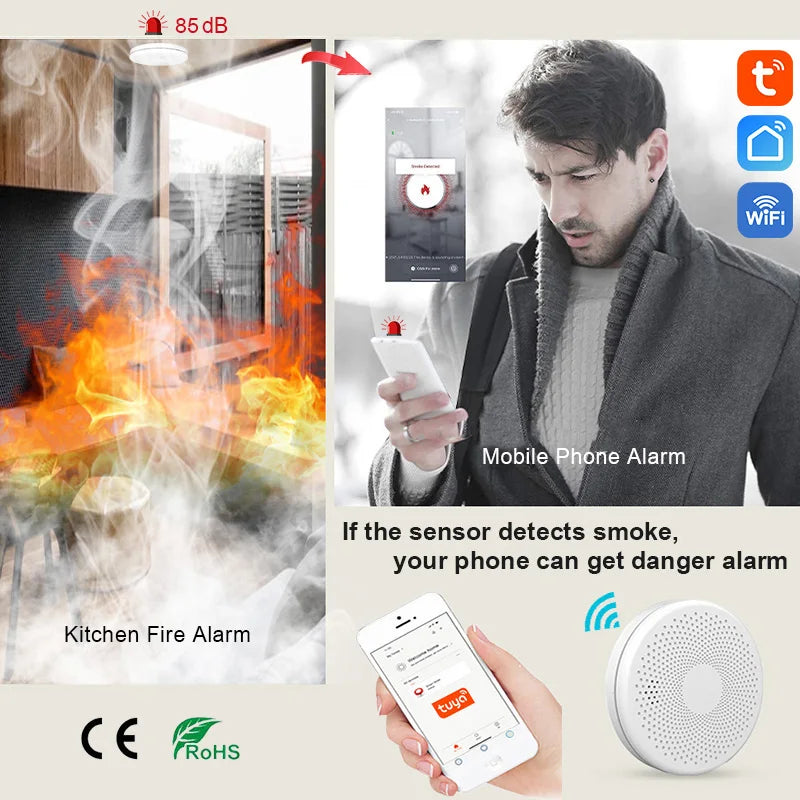 Fire PIR sound sensor alarm Co and smoke detector alarm Carbon monoxide living room kitchen shop