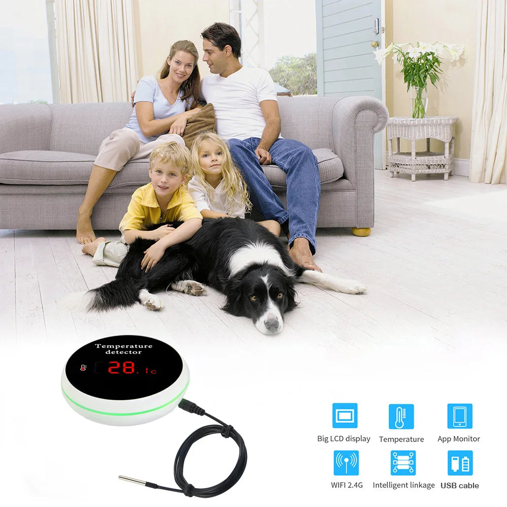 Thermomètre intelligent WiFi Tuya avec sonde externe, batterie rechargeable et alimentation USB, fonctionne avec Alexa/Google Home