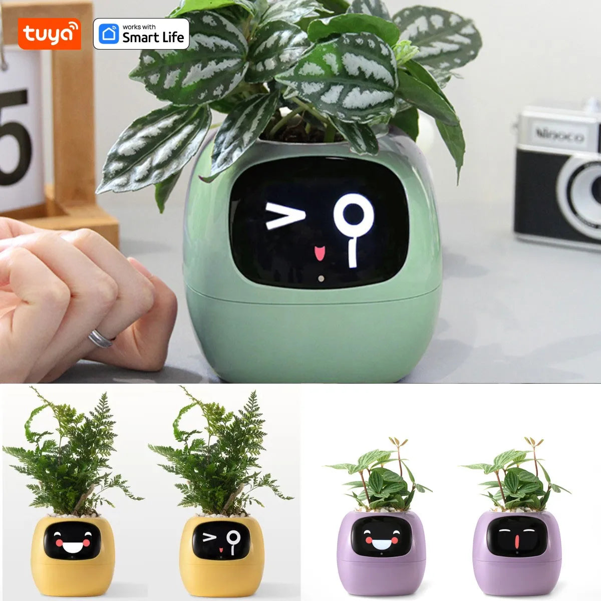 Künstliche Intelligenz-Chips machen das Pflanzen von Pflanzen einfach und unterhaltsam. Tuya Ivy Smart Flowerpot, endloser Spaß mit 49 reichen Ausdrücken, 7 intelligenten Sensoren