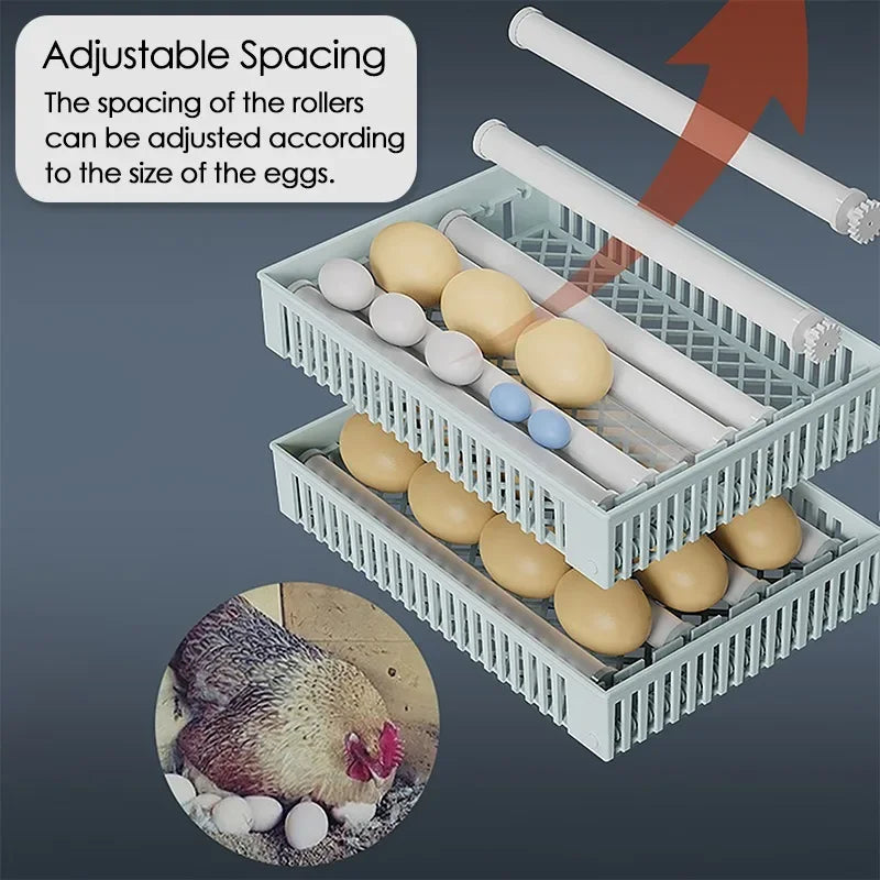 Incubateur tactile automatique pour œufs, contrôle intelligent de la température et de l'humidité pour les œufs de poule, de canard, de caille, de machine d'écloserie
