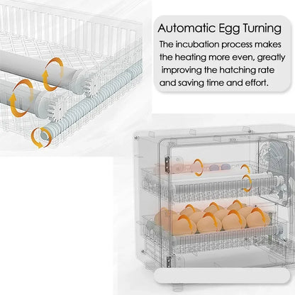 Incubateur tactile automatique pour œufs, contrôle intelligent de la température et de l'humidité pour les œufs de poule, de canard, de caille, de machine d'écloserie