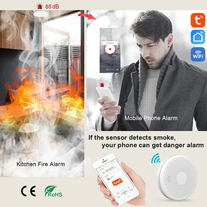 Fire PIR sound sensor alarm Co and smoke detector alarm Carbon monoxide living room kitchen shop